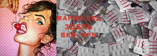 эйфоретик Алзамай